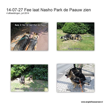 Fee laat Nasho park de Paauw zien